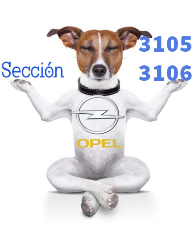 Opel Sección 3105-06